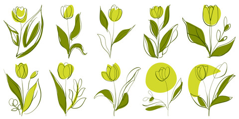 Set of Tulip Flower hand drawn shapes and doodle design elements. Exotic jungle leaves, flowers and plants. Abstract contemporary modern trendy vector illustration. Perfect for posters, stickers