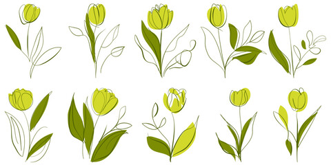 Set of Tulip Flower hand drawn shapes and doodle design elements. Exotic jungle leaves, flowers and plants. Abstract contemporary modern trendy vector illustration. Perfect for posters, stickers