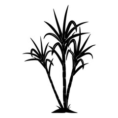 silhouette of sugarcane plant