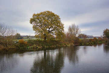 Fluss Mulde bei Trebsen und Grimma, Sachsen, Deutschland