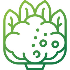 cauliflower gradient line icon