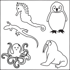 lizard octopus sea horse walrus penguin