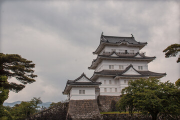 Naklejka premium japanese castle 小田原城