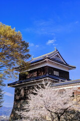 上田城の桜