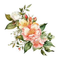 bouquet of flowers watercolor isolated on transparent background cutout
