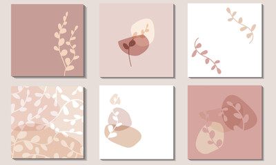 Eucalyptus branches. Random spots of delicate pastel beige and pale brown. A set square backgrounds.