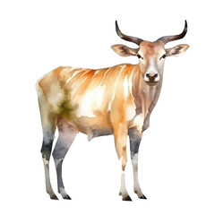 cow watercolor isolated on transparent background cutout