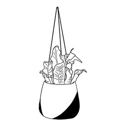 House Plant Outline Illustration