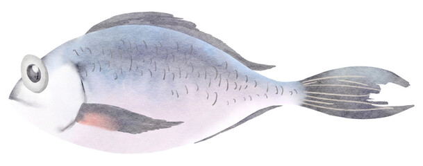 Sea fish watercolor