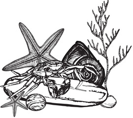 Marine composition crab sitting on a stone with shells, algae and starfish. Black and white hand-drawn graphics translated into vector. The illustration is intended for printing on textiles, packaging