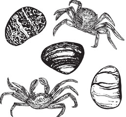 Image of Nautical set, collection of crabs and stones. Black and white hand-drawn graphics translated into vector. The illustration is intended for design, printing on fabric, packaging printed on Printed Glass Basin Splashbacks