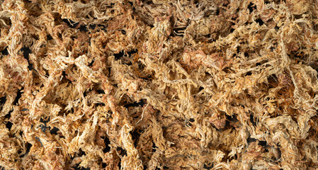 Dry Sphagnum Moss, Ecology Gardening Soil, Plant Moisture, Natural Antibiotic, Eco Supplement