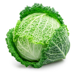 Savoy cabbage isolated on white background. File contains clipping path. - obrazy, fototapety, plakaty