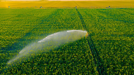 Aerial view on high pressure agricultural water sprinkler, sprayer, sending out jets of water to...