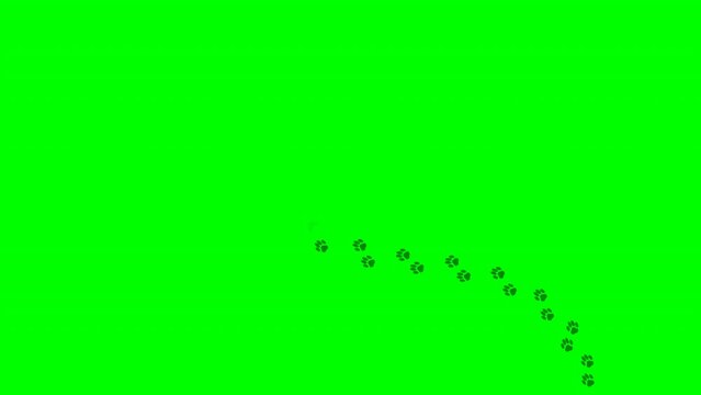 Cat, dog, wolf footprint animation. Pet wild paw. Prints on ground, mud, snow. S, curve, zig zag way. Loop walk animated, motion. Leaving wet, dry bare foot. Green screen background. 2D footage video