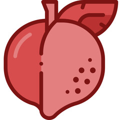 peach two tone icon