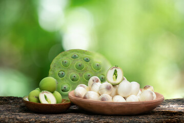 Fresh lotus seeds and pod on nature background.