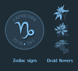 Zodiac sign Capricorn from December 22 to January 19. Horoscope logo on dark blue background. Druid flowers: edelweiss, gentian, thistle.