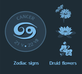 Zodiac sign Cancer from June 21 to July 22. Horoscope logo on dark blue background. Druid flowers: violet, water lily, chamomile.