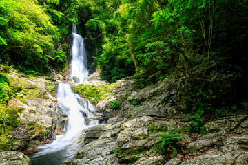 初夏の菅生の滝　福岡県北九州市　Sugao Falls in early summer. Fukuoka Pref, Kitakyusyu City.