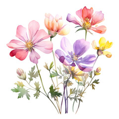 Fototapeta na wymiar Wildflower Watercolor Clip Art, Watercolor Illustration, Flowers Sublimation Design, Flower Clip Art