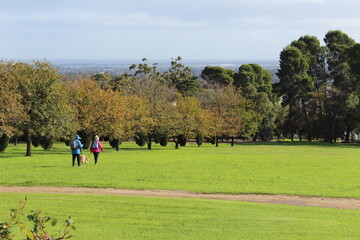 Happy elderly man with walking stick and smiling senior people relaxing in the garden