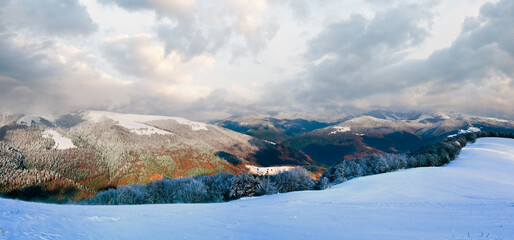 October mountain beech forest edge with first winter snow and last autumn colourful foliage on far...