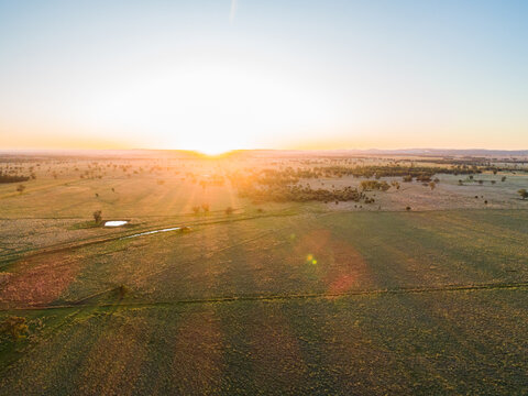 Golden light of sunset over australian pastoral landscape on farm