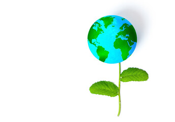 Creative Globe Flower Composition