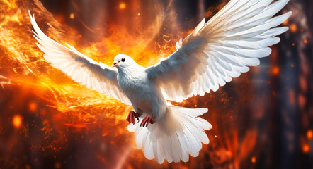 the white dove flying through the fire