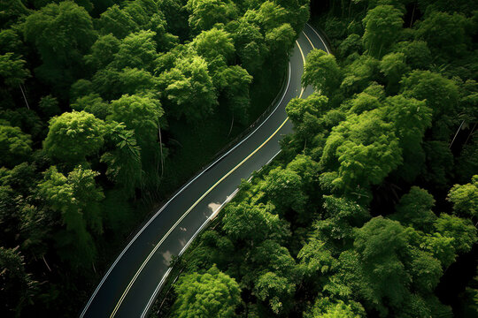 A bird's-eye view of the road in the forest. AI technology generated image