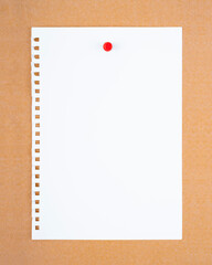 The Blank white torn paper note with push pin on brown board background.