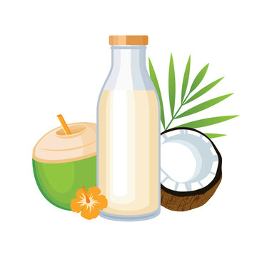 Glass bottle of coconut milk vector illustration. Plant-based milk alternatives drawing. Bottle of vegetable milk, brown and green halved coconut icon vector on a white background