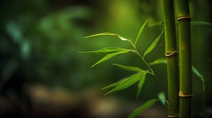 Nature Photography of Green Bamboo with Blurry Background. Created with Generative AI Technology