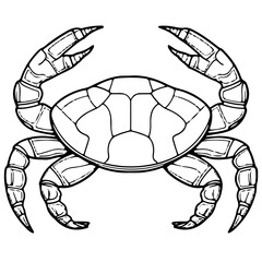 Cute crab outline vector illustration, seafood, Various marine life