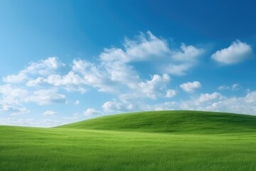 Obraz na płótnie Canvas Green lawn under blue sky and white clouds