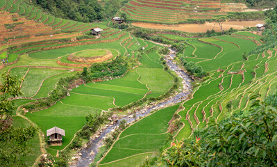 Fototapeta na wymiar See terraced fields in the watering season in Mu Cang Chai, Yen Bai province, Vietnam