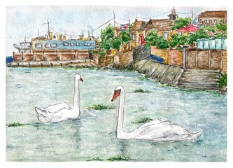 White swans, vintage watercolor illustration