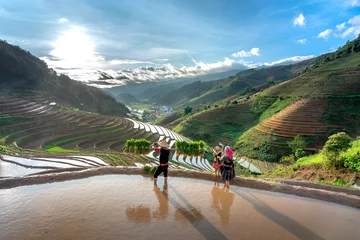 Foto auf Acrylglas Mu Cang Chai A young H'Mong family carrying rice seedlings prepares to plant rice in Mu Cang Chai, Yen Bai Province, Vietnam