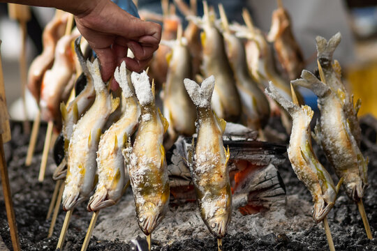 鮎の塩焼き