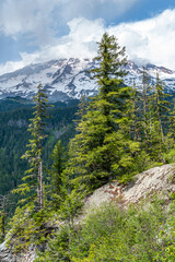 Mountain And Trees 2