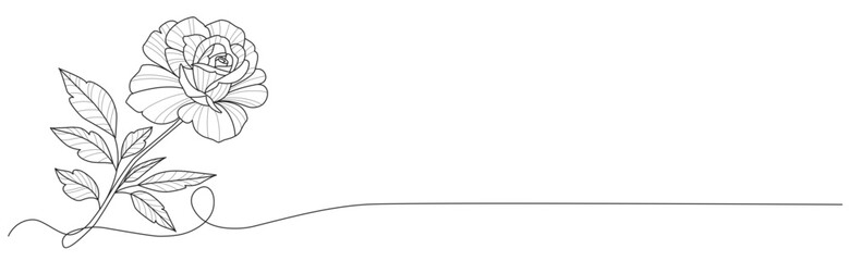 hand drawn line art vector of rose flowers