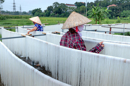 Drying vermicelli at the factory of dry packaged noodles at Hung Lo rice noodle cooperative, Viet Tri city, VN