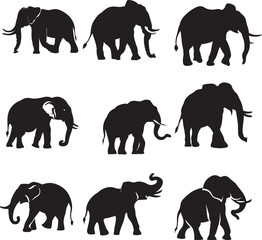 set of elephants silhouettes, silhouette elephant collection set vector. elephant vector illustration set