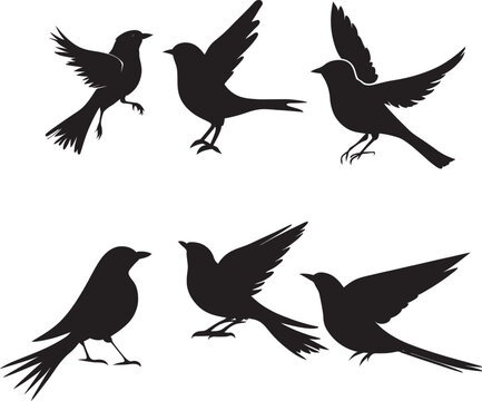 set of silhouettes of birds, silhouette bird vector illustration set with white background