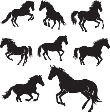 wild horse silhouette vector illustration set. different poses horse vector design