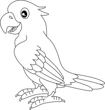 parrot cartoon line art for coloring book
