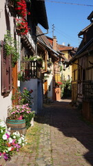 Eguisheim Elsass Frankreich