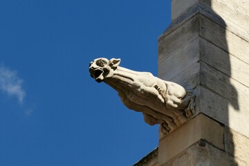 Gargouille de la cathédrale Saint-Cyr-et-Sainte-Julitte à Nevers