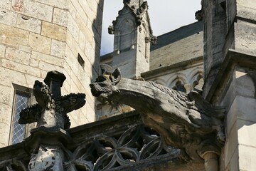 Fototapeta na wymiar Gargouille de la cathédrale Saint-Cyr-et-Sainte-Julitte à Nevers